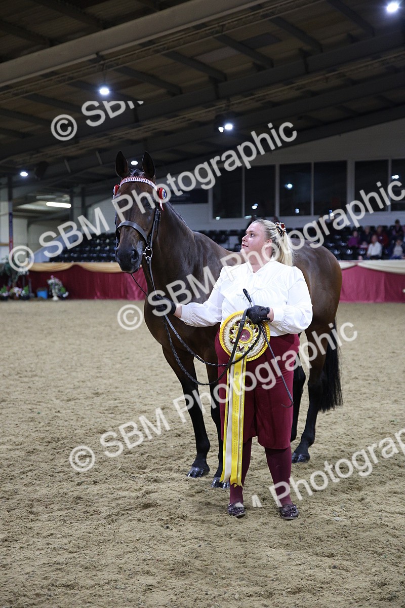 5K7A1660 - Class T Champion of Champions