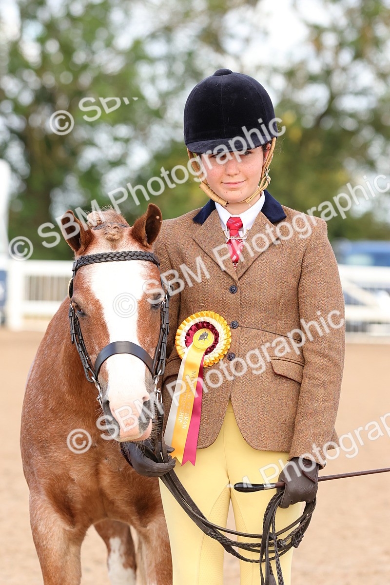 SBM_09247 - Class 204 - Young Handler