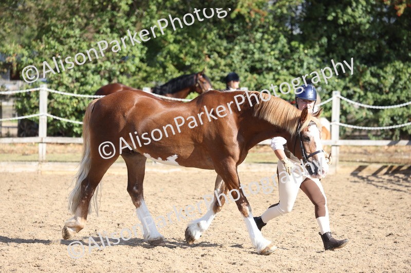 20260831-0550 - Class 1 - Veteran