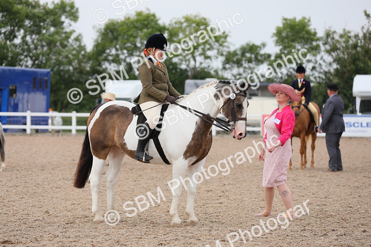 SBM_12719 - Class 307 Ridden Coloured Pony