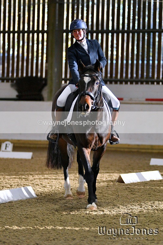 WJ5_6478 - Edited examples