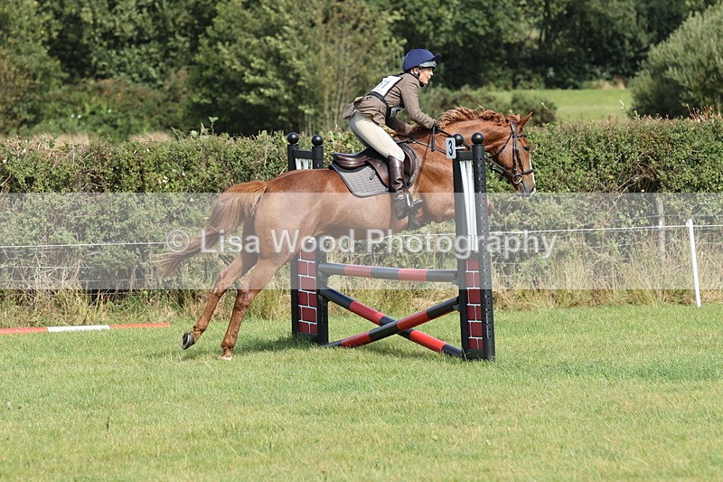 JPP_8788 - Class 2: Trekenning: 80cm Showjumping