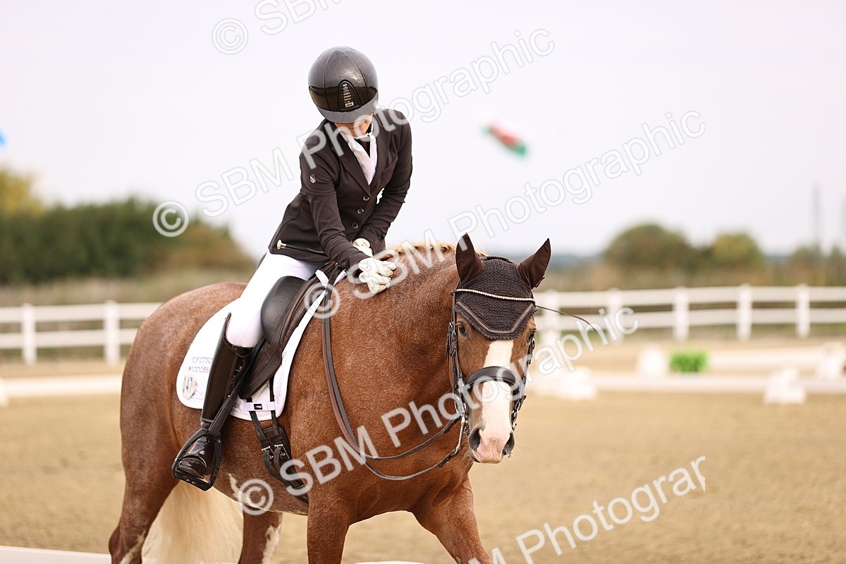 SBM_011544 - Class 1 - Medium 5