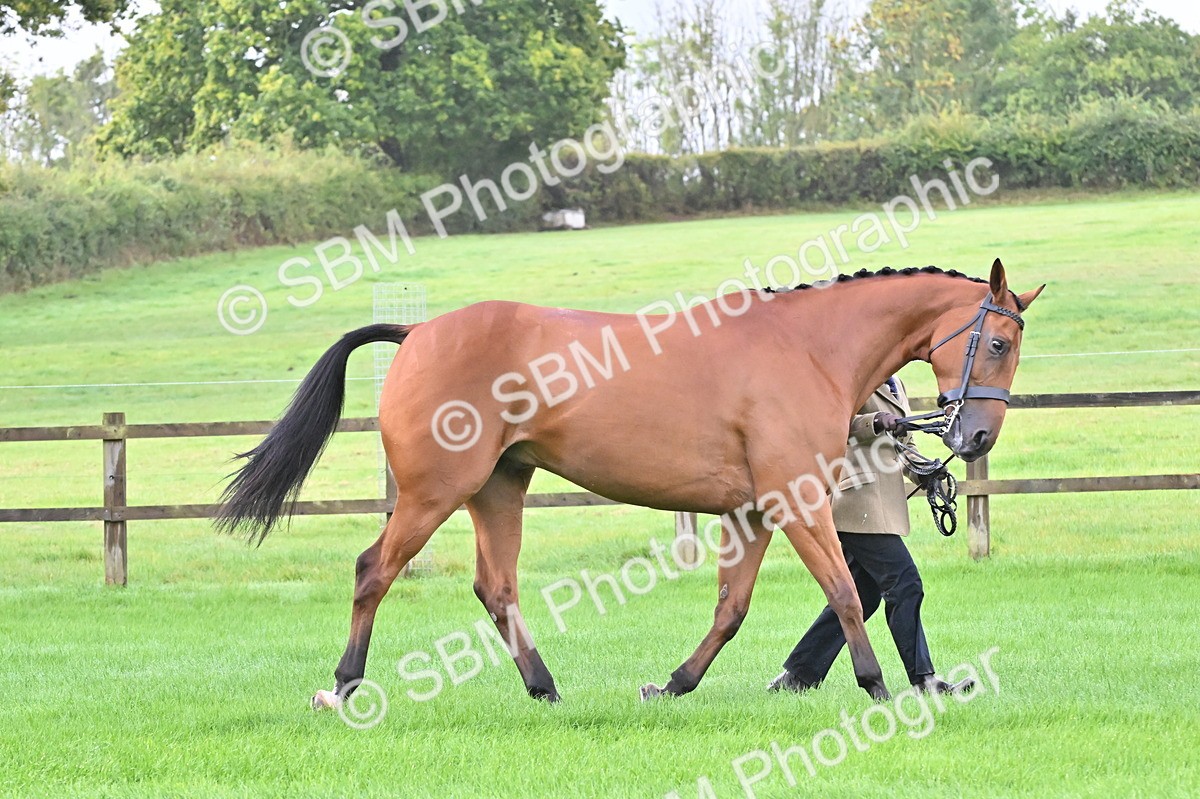 SBM_32626 - S15 - Top Turnout In Hand