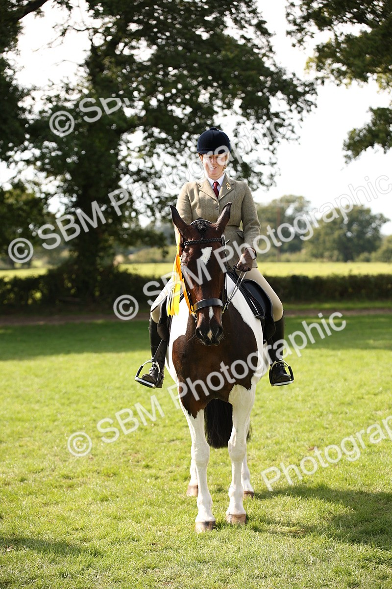 SBM_70150 - S65 - Piebald & Skewbald Horse Ridden