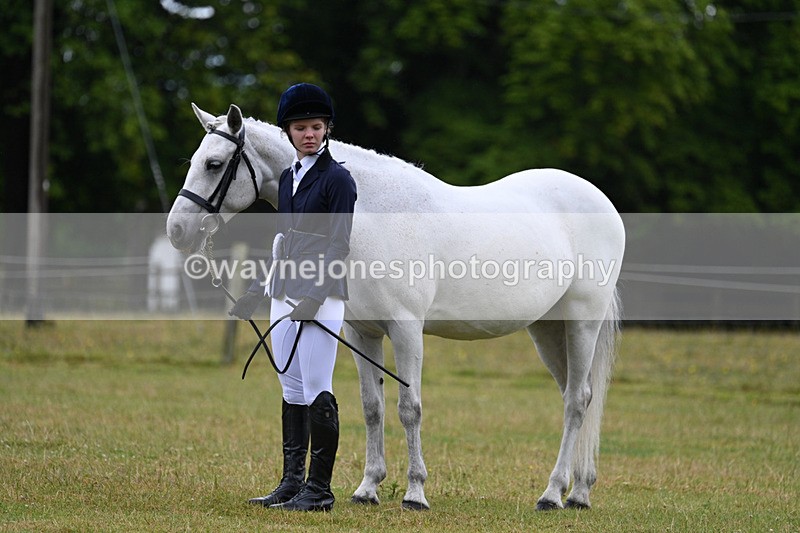 WJ7_6424 - Class 4a Prettiest Mare over 14hh