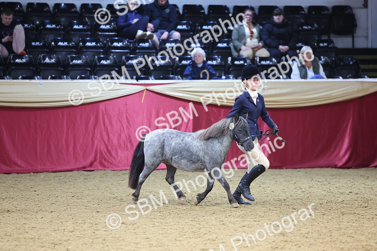 SBM_22778 - Class 903 - Supreme Final - IH Pre Vet