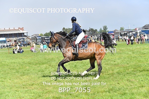BPP_7055 - CLASS 3 RHS Fox Champ Qual (1.20m)