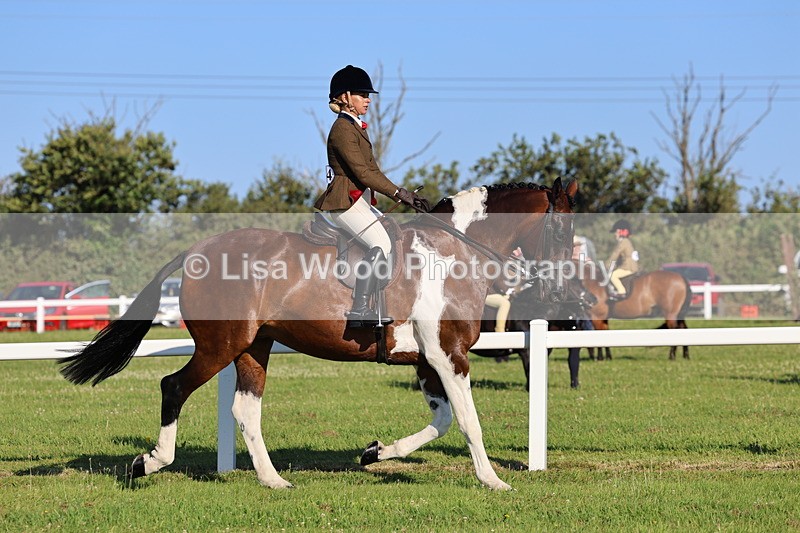 IMG_1199 - Class 27: Ridden Plaited Coloured Horse