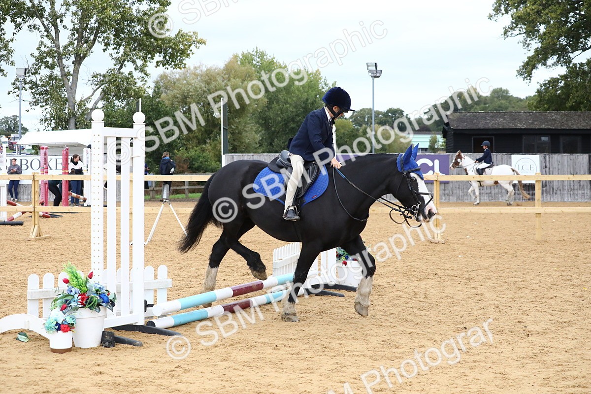 SBM_68186 - J3b - Mini Tour Junior Pony 40cm Championship