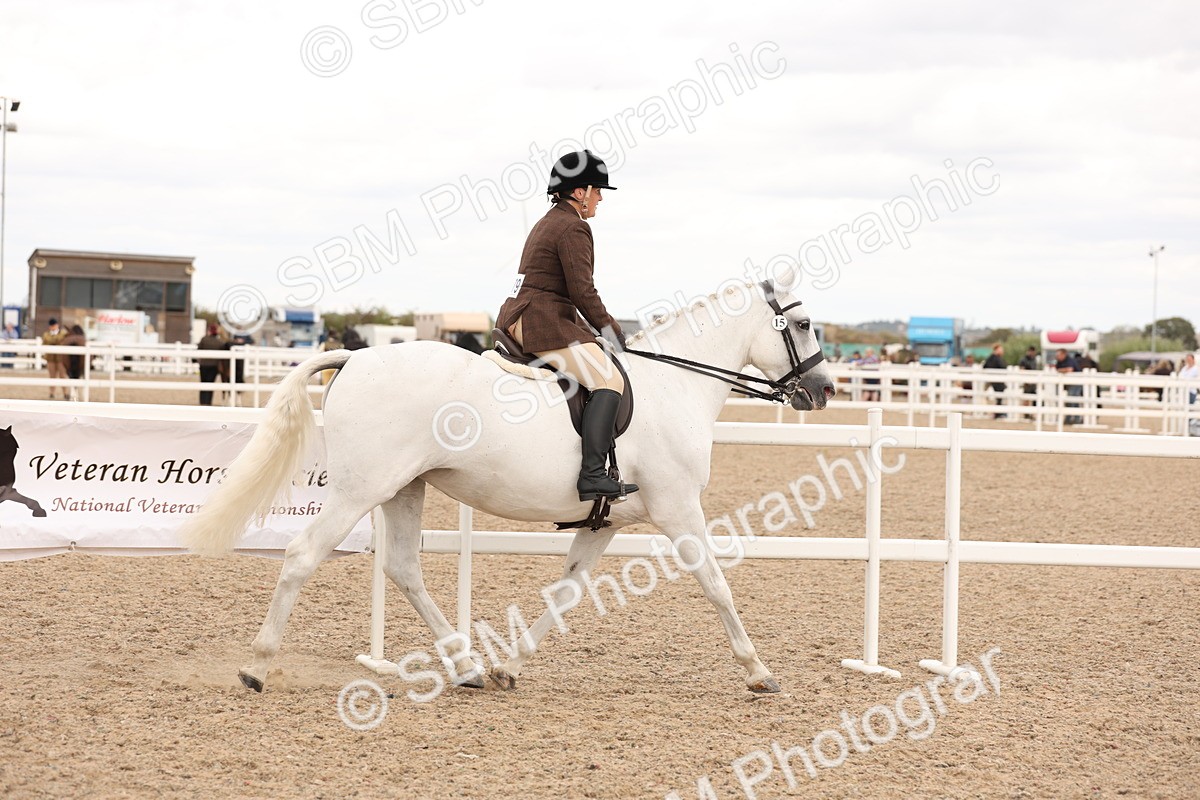 SBM_16469 - Class 212 - Ridden Hunter - Small