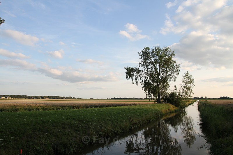 IMG_6585 - Home in the Polder