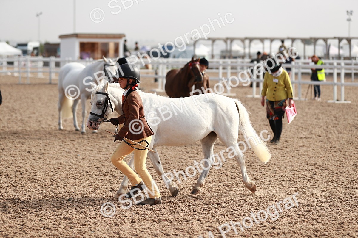 SBM_09908 - Class 203 Young Handler, 10 years and under
