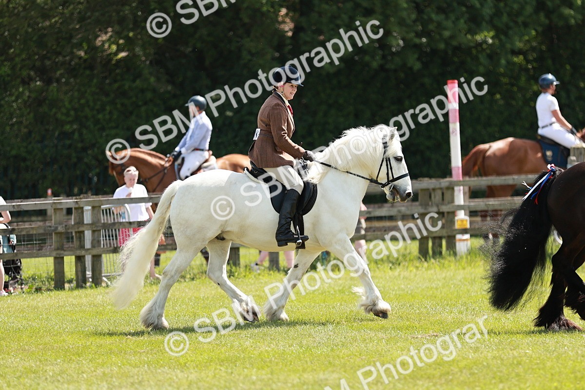 SBM_07035 - Class 26-30 - Mountain and Moorland Ridden