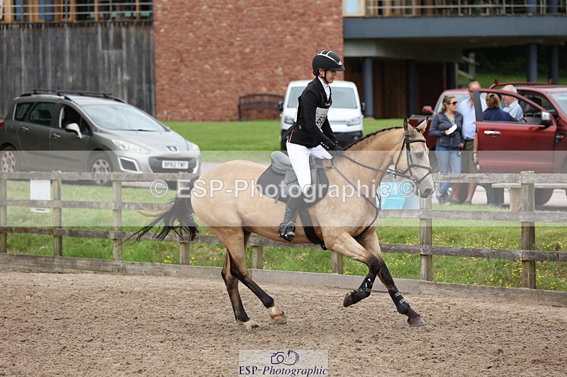 240804-130027-13552 - 521-Lily_Howell-WOODFIELD_GOLD