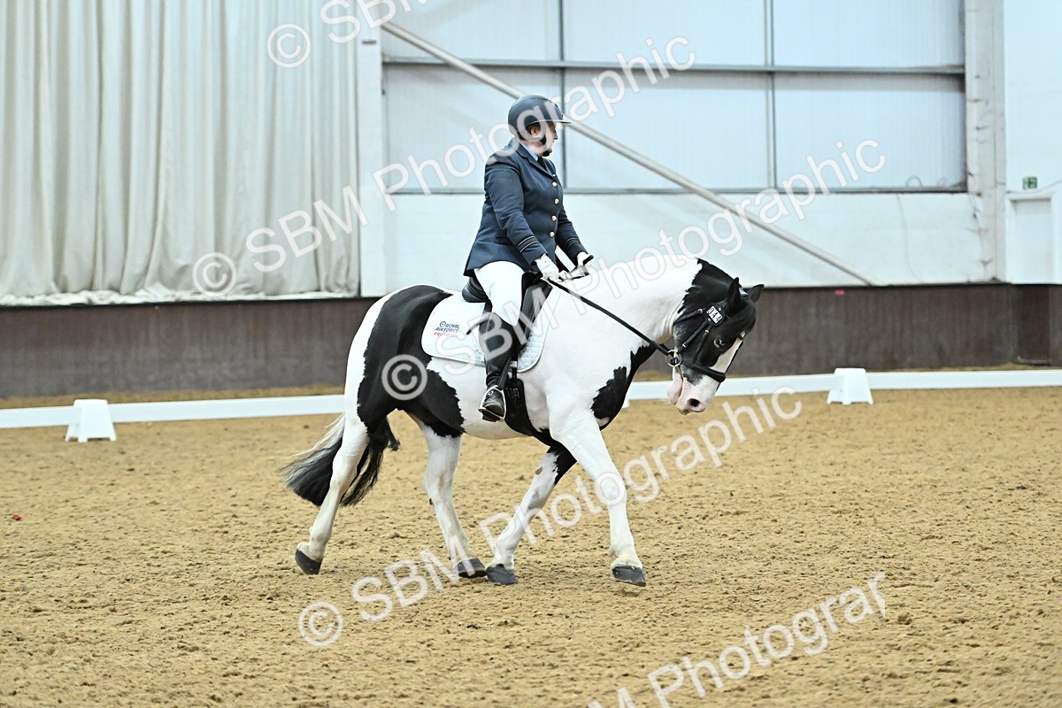 SBM_007399 - Class 81 - Novice 3