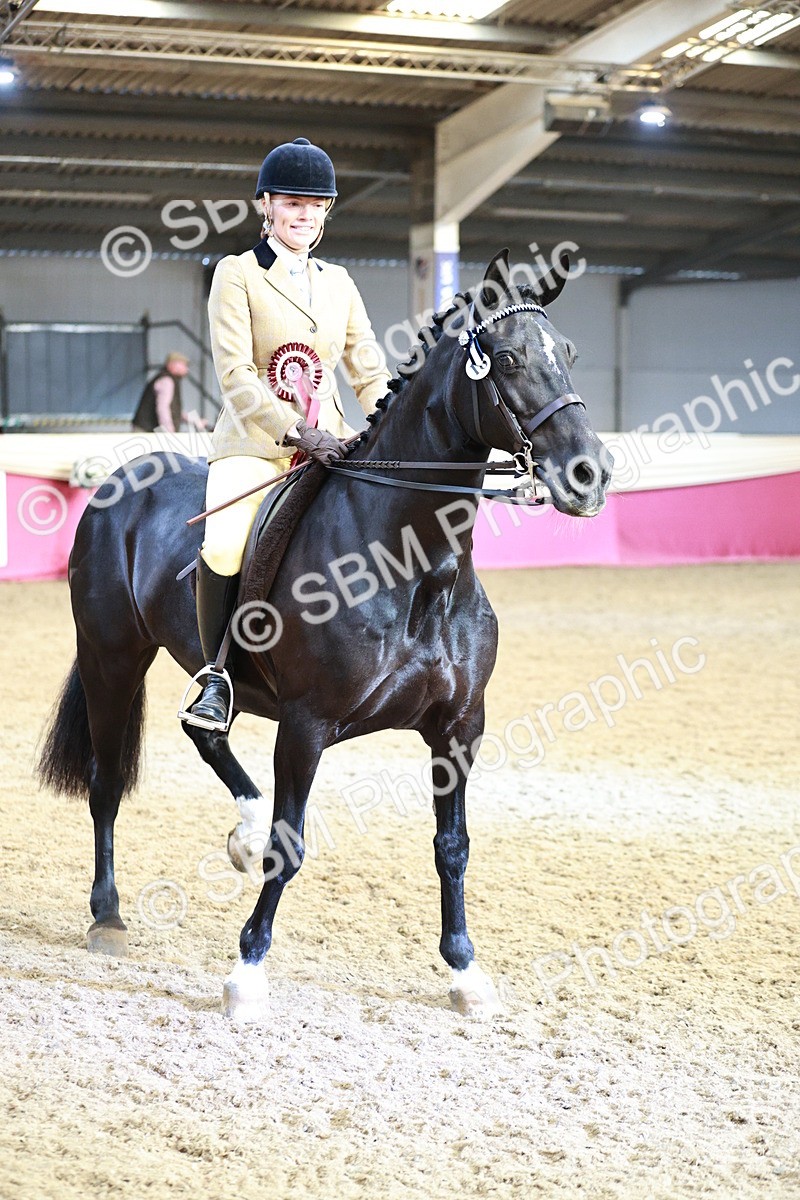 SBM_09151 - Class 12R - Regional Ridden Pre-Vet