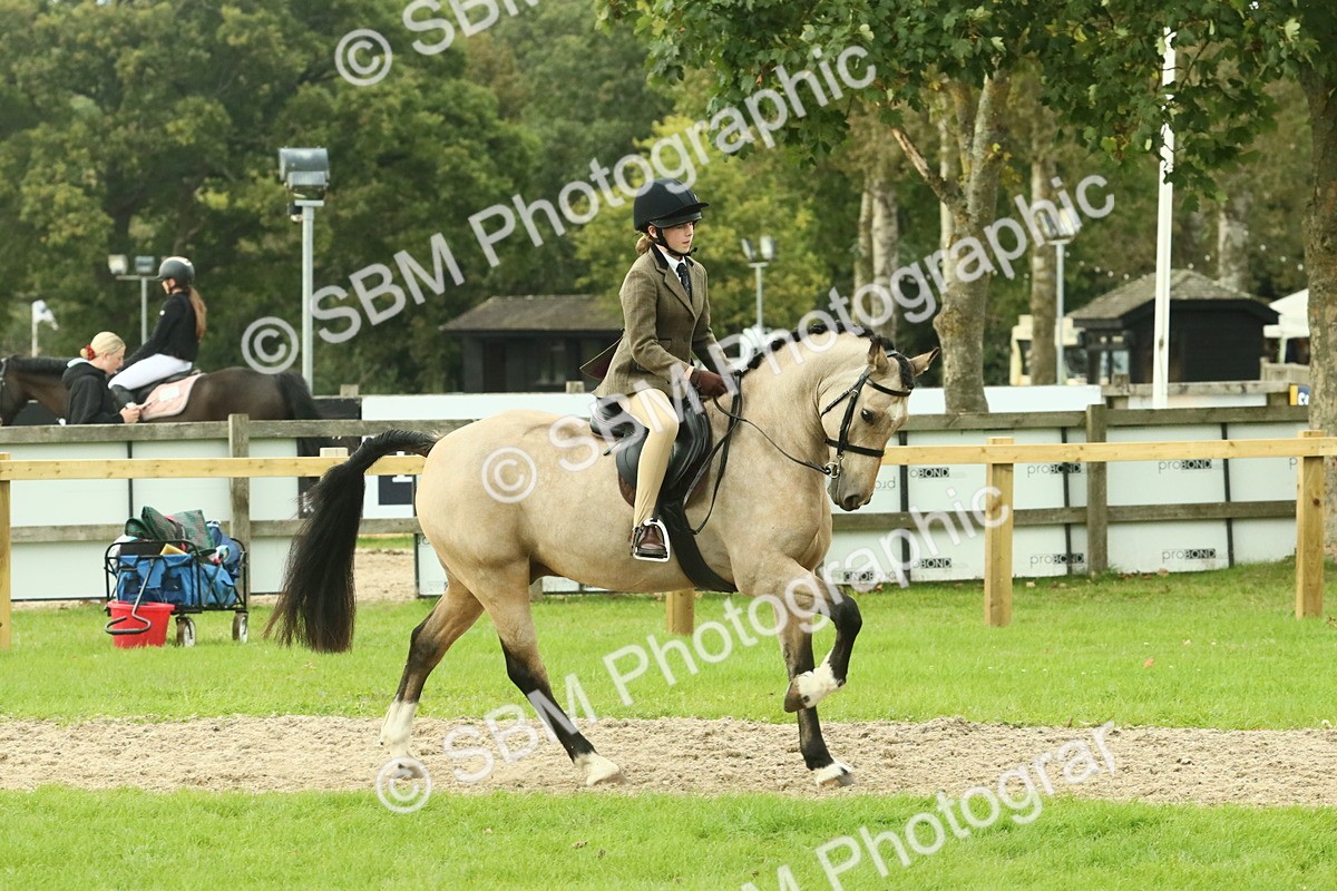 SBM_73998 - S 61 - Show Pony & Show Hunter Pony Ridden