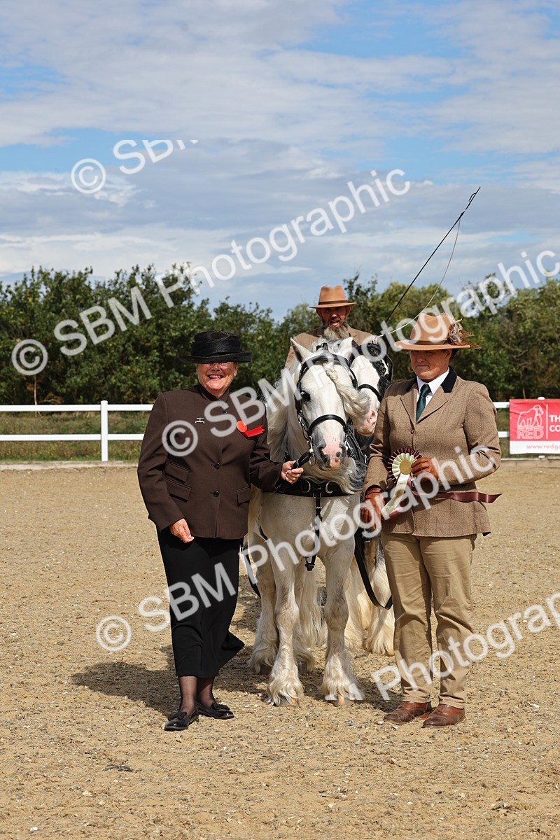 SBM_001254 - Class 16 - Pairs ,Multiples and Tandems