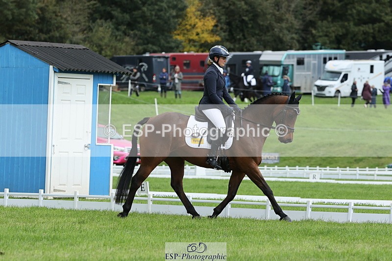 251023A-115012-03422 - E-384-Holly.Horton