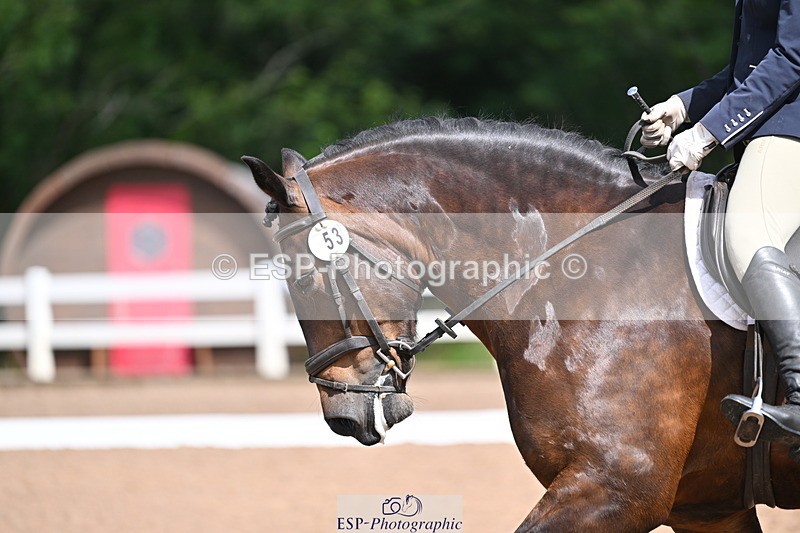 240706A-104051-00876 - Cls 2B Snr Prelim 13