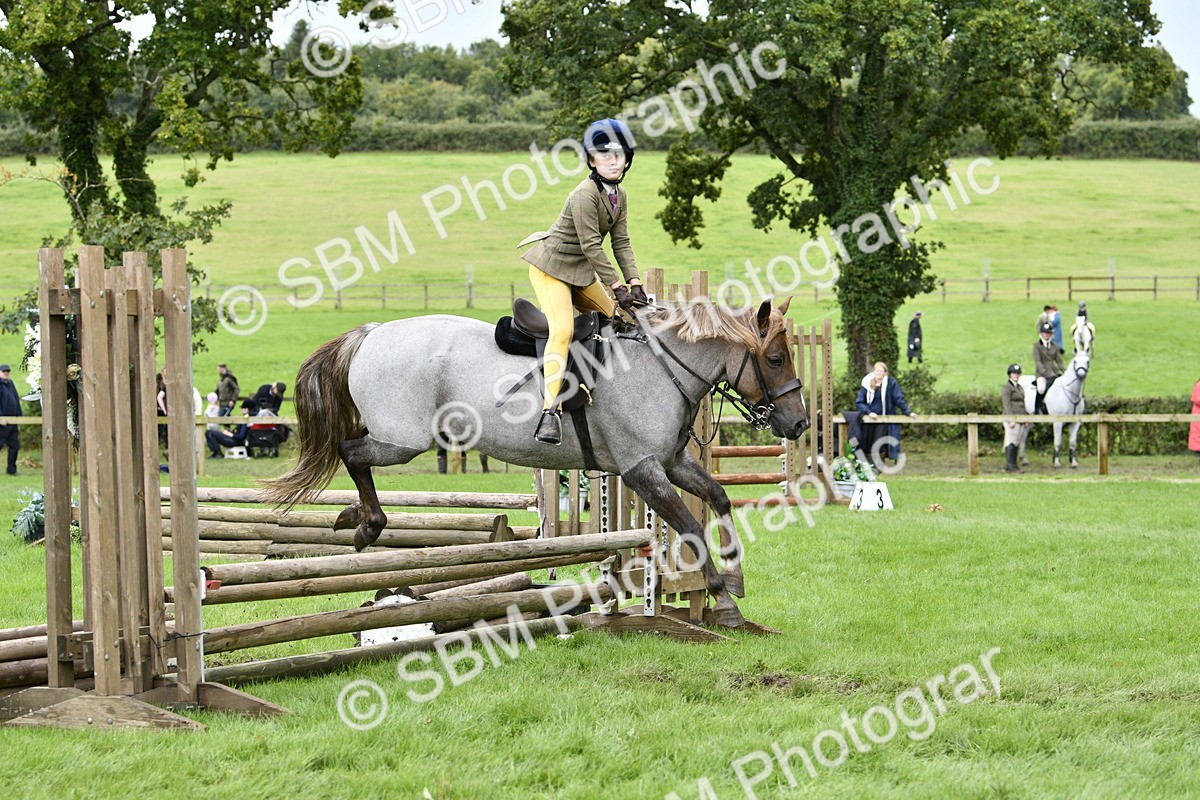 SBM_41331 - S32 - Mountain & Moorland Working Hunter Pony