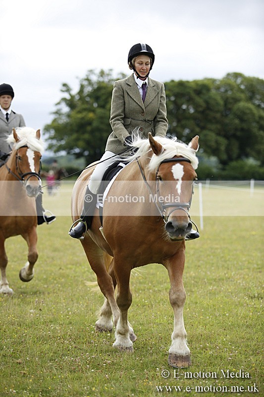 BVR160717-268 - Ring 1 BVRC Show 16/07/17