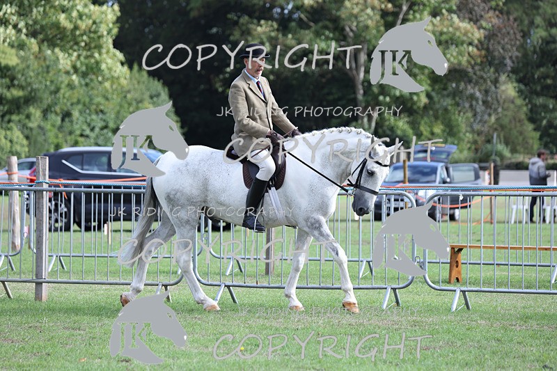 APP_4110 - Class 15a/b Pony club pony/Riding club horse