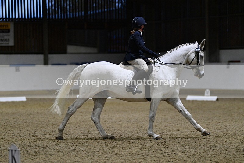 WJ5_8676 - Class 5 Novice Test 3