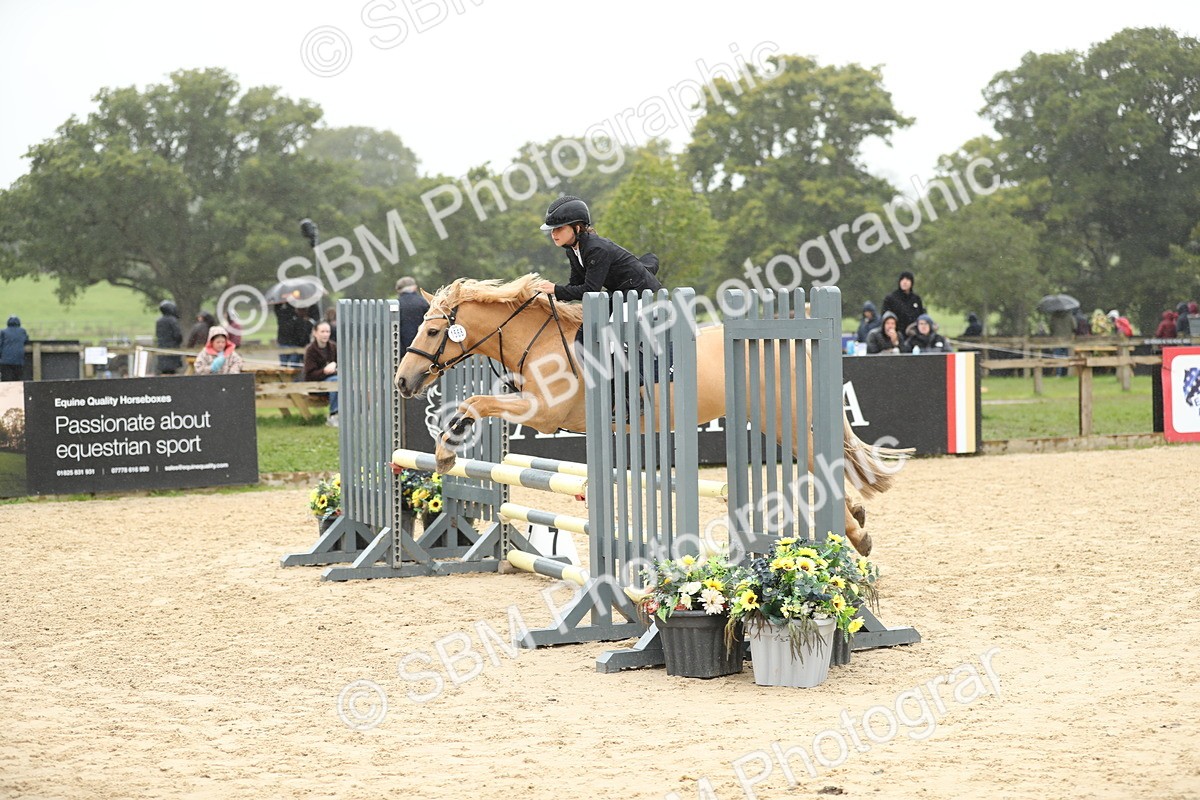 SBM_73696 - J16 - Junior Pony 75cm Championship