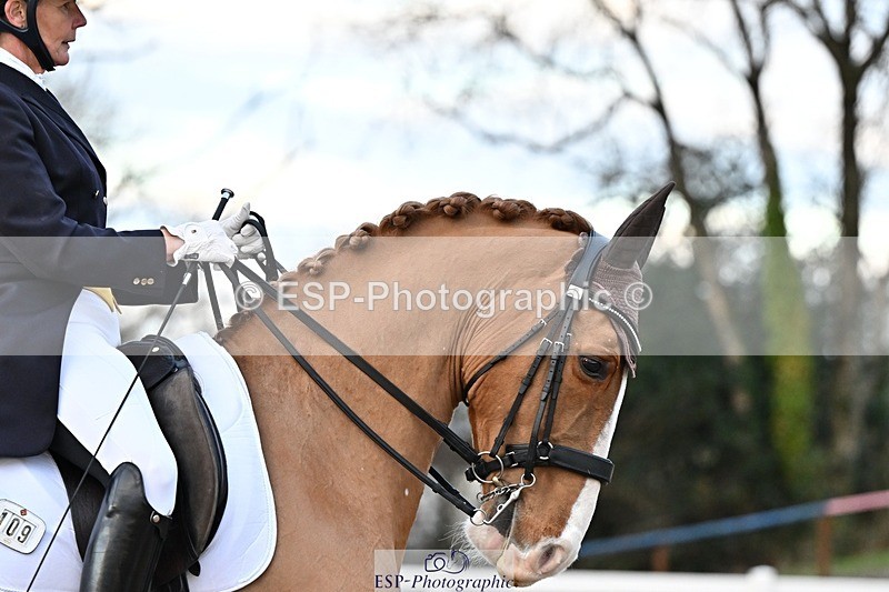 241214-153046-03274 - 109-Katharine.Lewis-Albertho.B