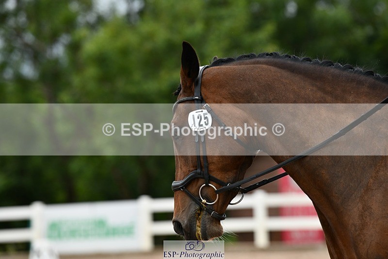 250705-150820-05222 - E1 Section BDE1 14.46 to 15.42