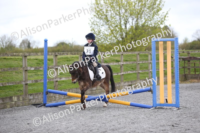 20260412-0167 - Show Jumping