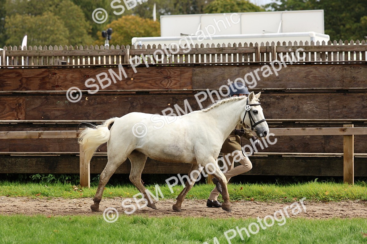 SBM_40733 - S25 -  Veteran In Hand