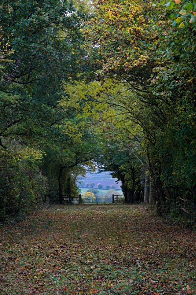  - Autumn