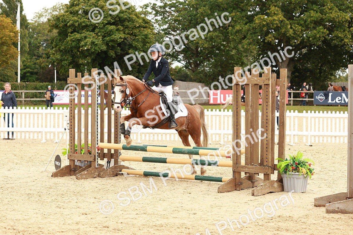 SBM_63596 - J12 - Junior Pony 55cm Championship