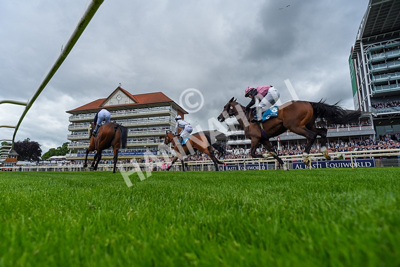 130626-Race 1-Dunkeld Dreamer-4119 - Race 1 13.50pm Queen Mother's Cup Handicap