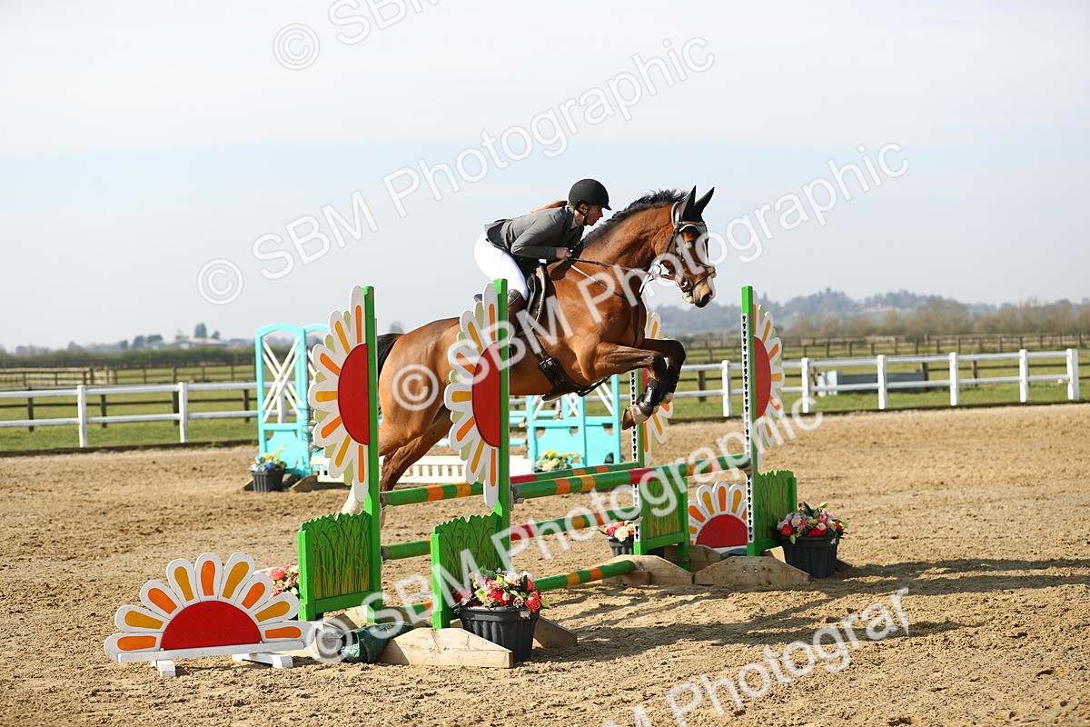 SBM_002017 - Class 8 - Senior British Novice - 90cm