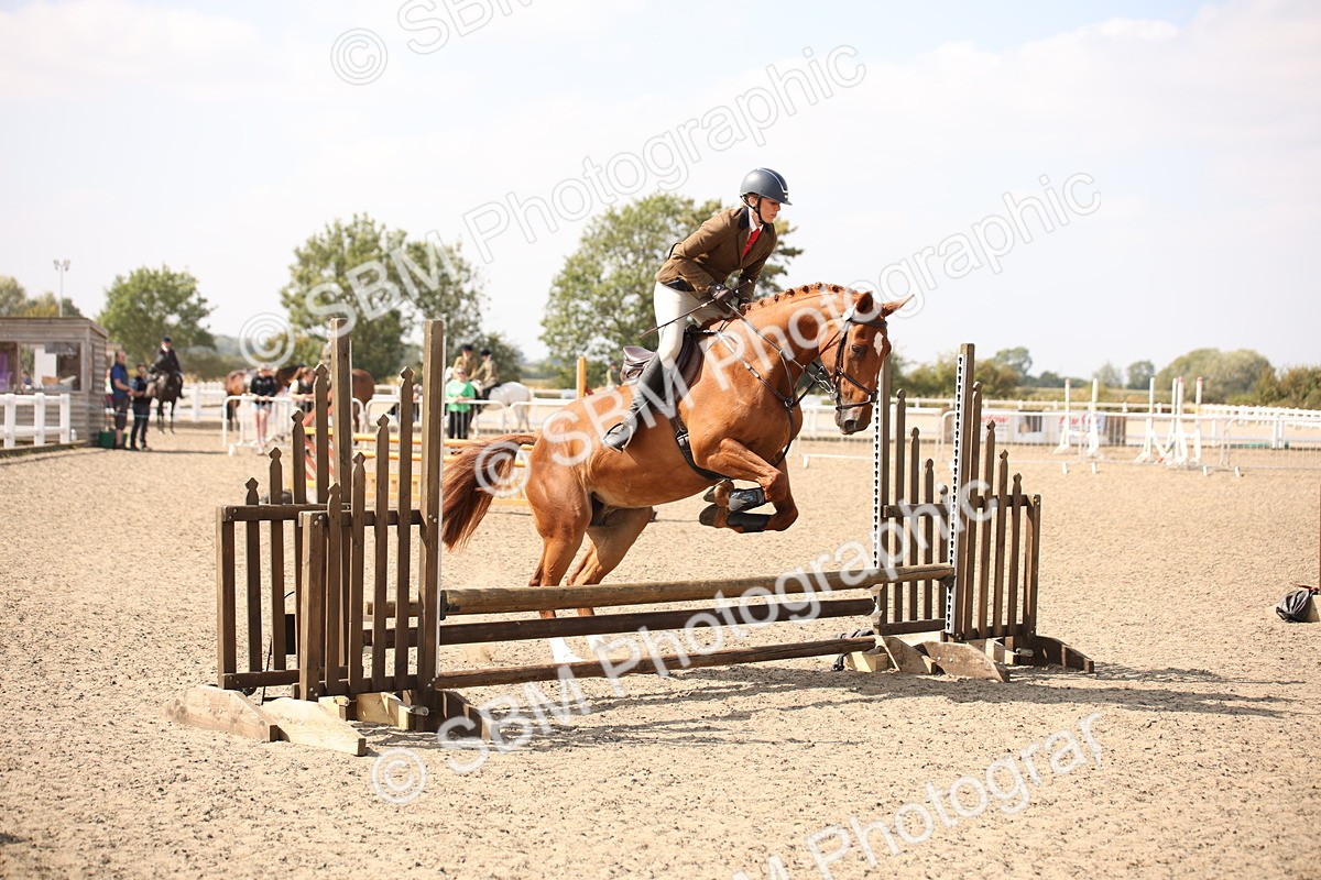 SBM_15009 - Class 408a - Working Veteran 70cm (15-19