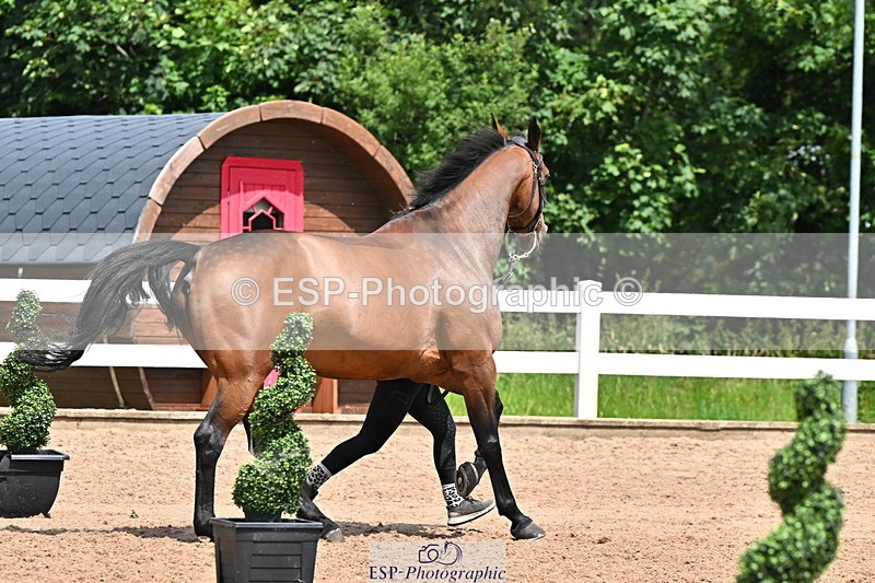 240718A-105306-01556 - Trot Up 1pm to 2pm