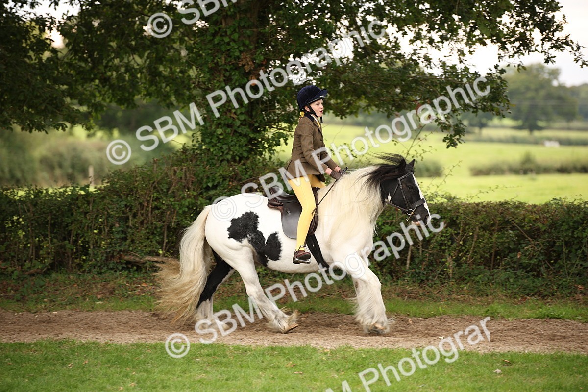 SBM_73457 - S68 - Traditional Cob Ridden