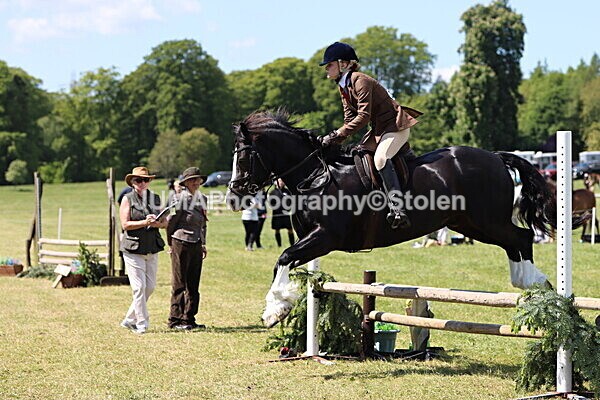IMG_3707 - Working Hunter