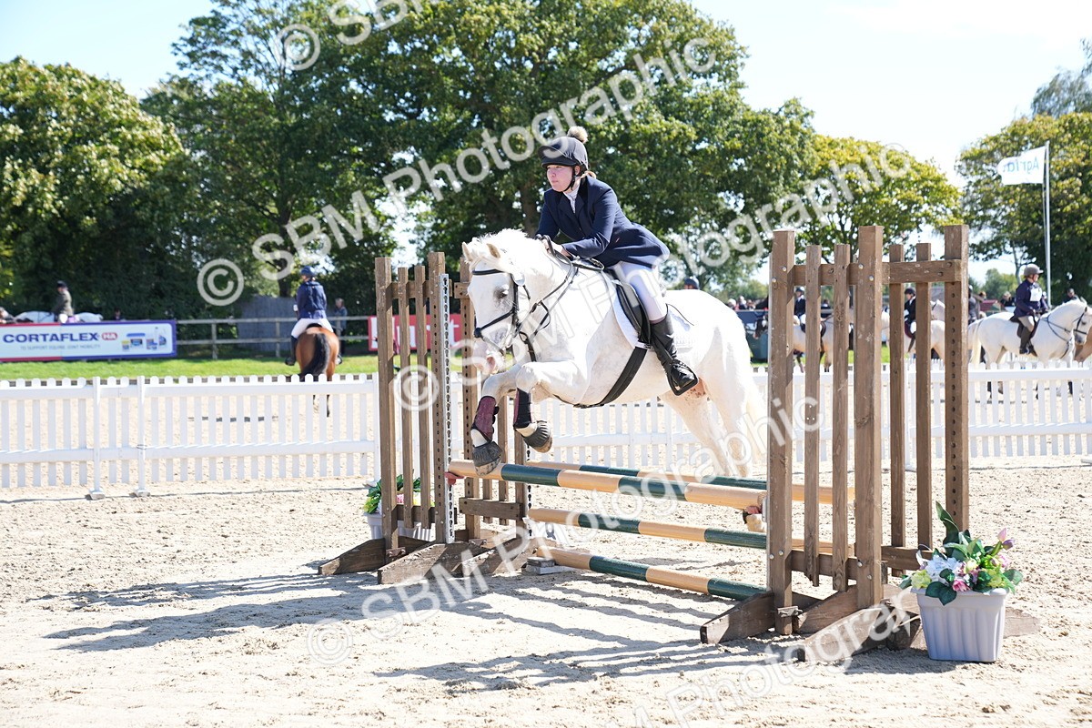 SBM_04883 - J56 - Clear Round 70cm