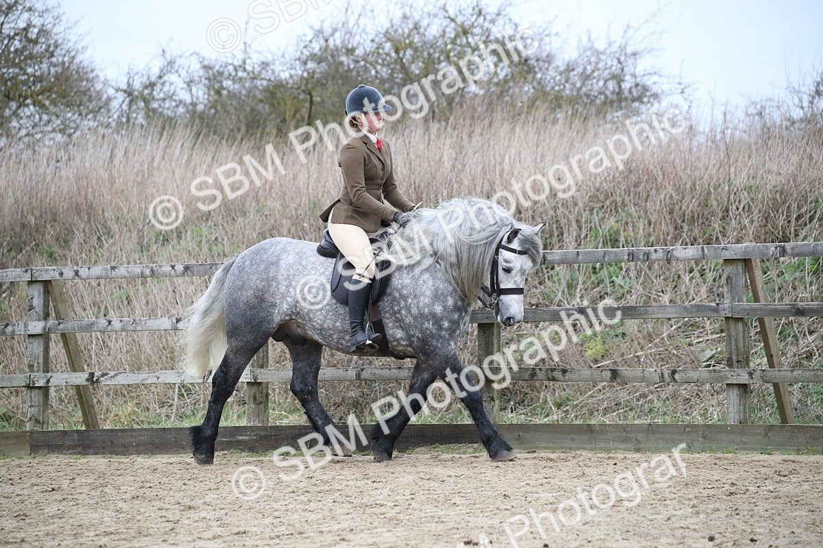 SBM_006315 - Class 10-13 - RIHS Small Large Breeds
