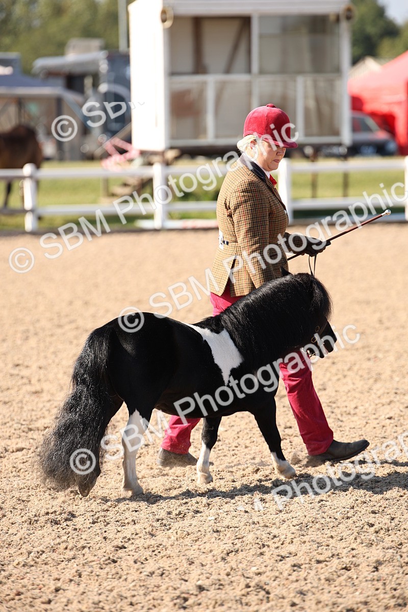 SBM_01523 - Class 15 IH Coloured