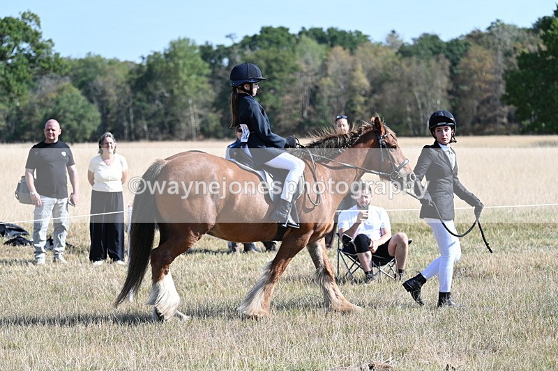 WJ7_3007 - Class 8 Ridden Tack & Turnout