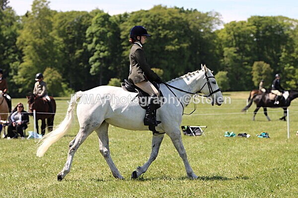 IMG_3561 - Working Hunter