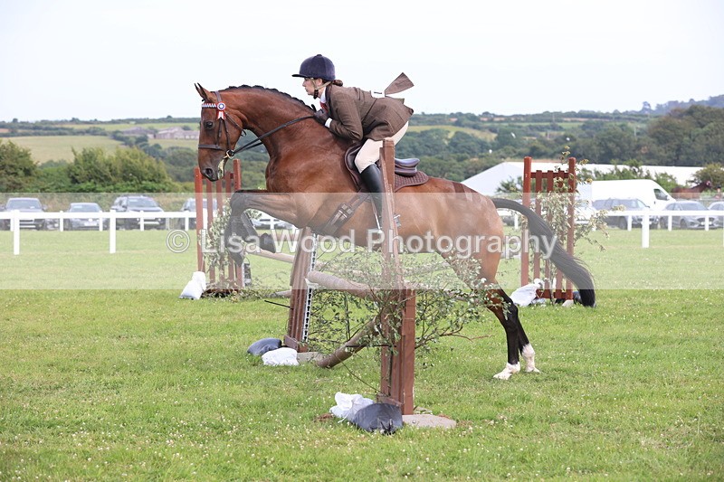 JPP_4176 - Class 25: Working Show Horse