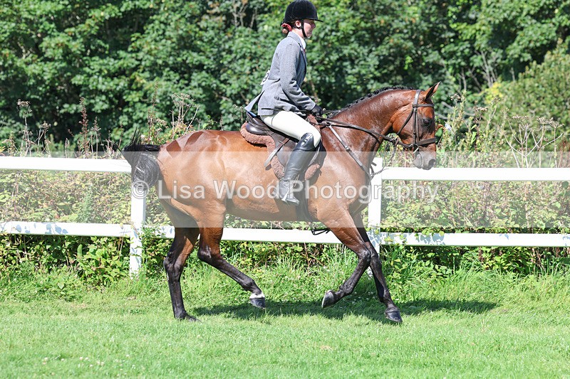 3E7A8358 - Class 4: Novice working Hunter