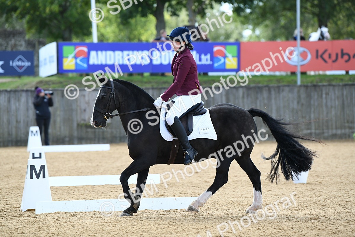 SBM_04620 - D7 Small Tour Championship Prelim 1
